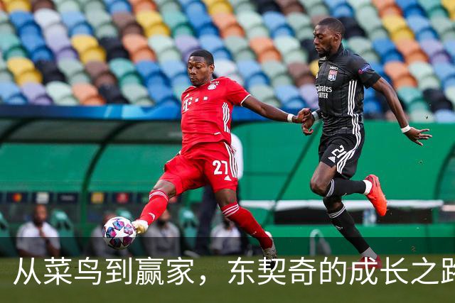 从菜鸟到赢家，东契奇的成长之路简直像魔法！