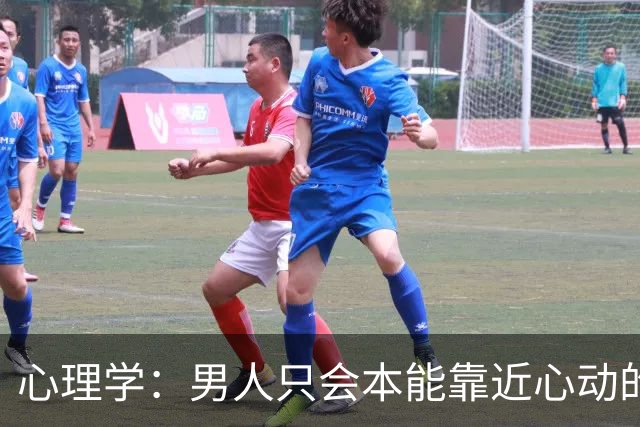 心理学：男人只会本能靠近心动的人，从不是理性斟酌，而是刻在骨子里的天性，他疏远你冷淡你，真相藏在这两点