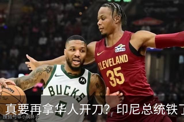 真要再拿华人开刀？印尼总统铁了心要立威，刀刃向内对准华裔财阀