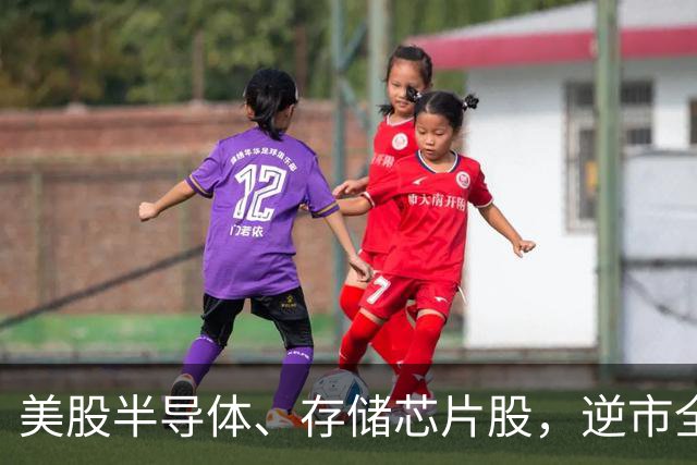美股半导体、存储芯片股，逆市全线下跌