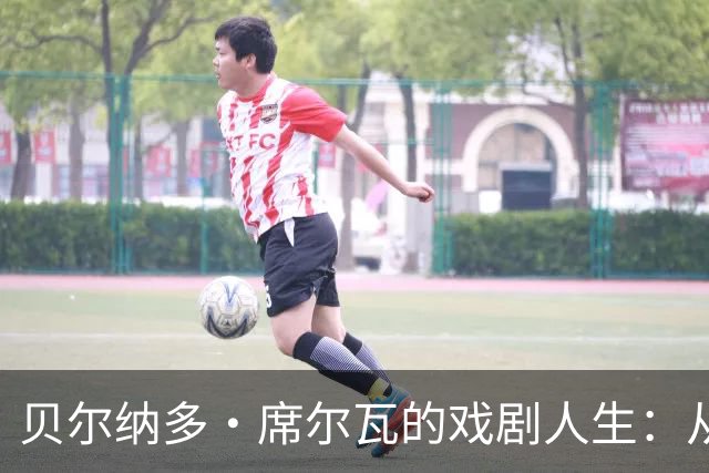 贝尔纳多・席尔瓦的戏剧人生：从明星到替补，人生不断开新车
